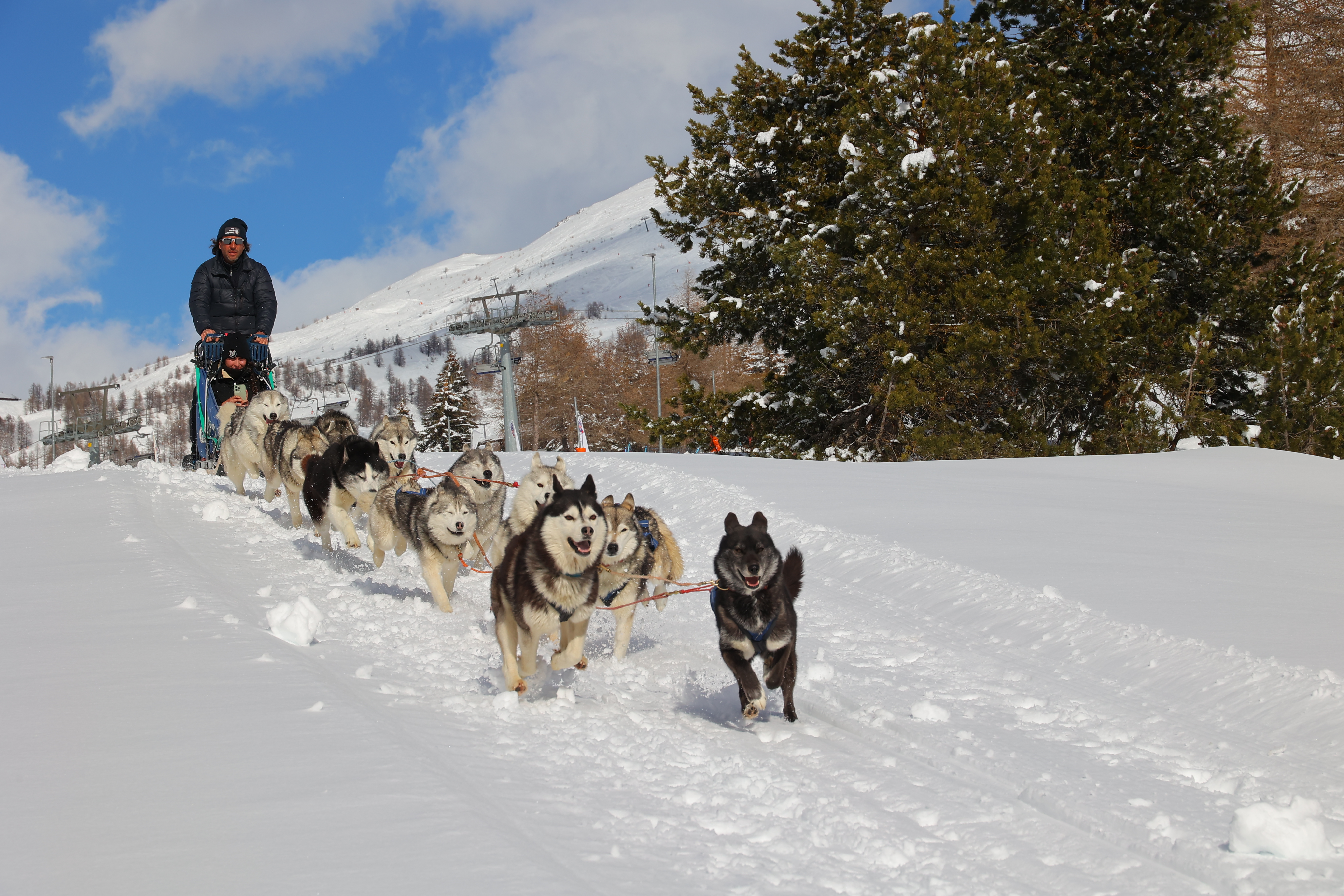 Balto (II)