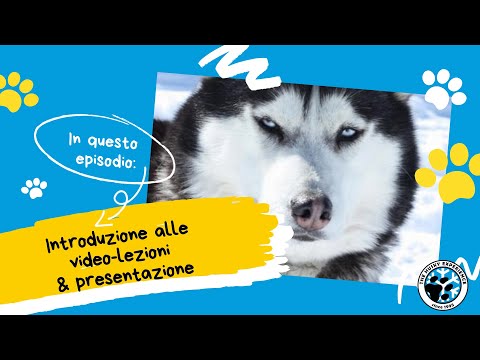 Introduzione