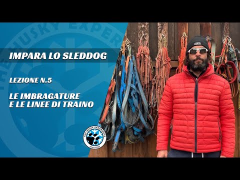 Lezione 5